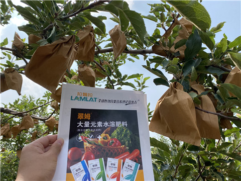 大量元素水溶肥，拉姆拉，翠姆