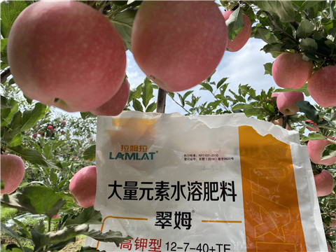 大量元素水溶肥，拉姆拉，翠姆