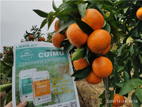 進(jìn)口水溶肥，拉姆拉，翠姆