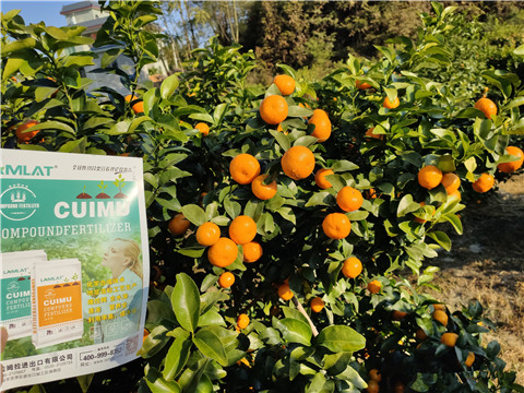 進(jìn)口水溶肥，拉姆拉，翠姆