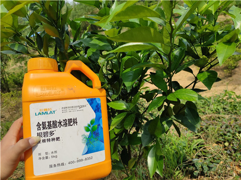 水溶肥，拉姆拉，翠姆