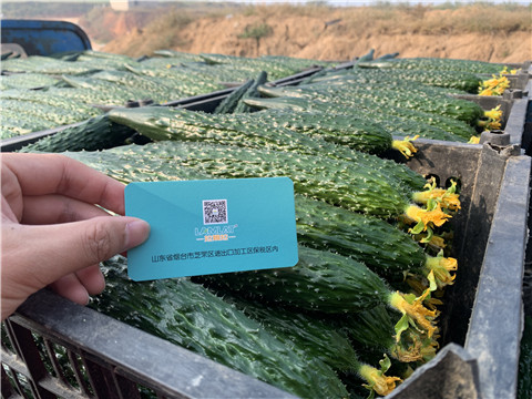 水溶肥，拉姆拉，伯示麥