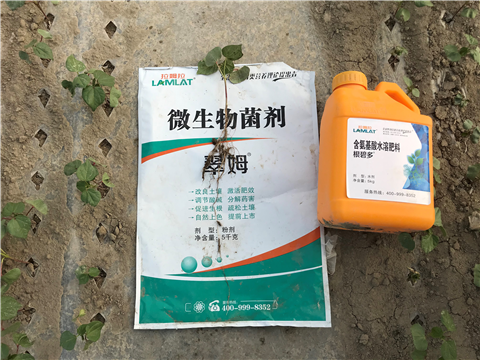 水溶肥，拉姆拉，翠姆