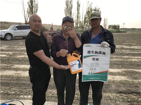 水溶肥，拉姆拉，翠姆