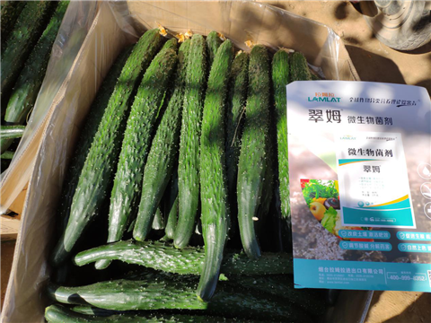 微生物菌劑，拉姆拉，翠姆