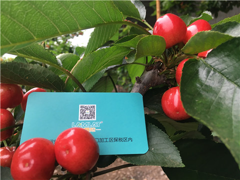 大量元素水溶肥，拉姆拉，翠姆