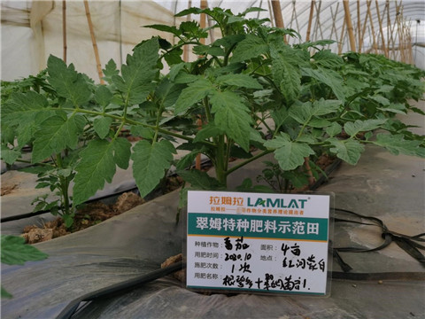 水溶肥，拉姆拉，翠姆