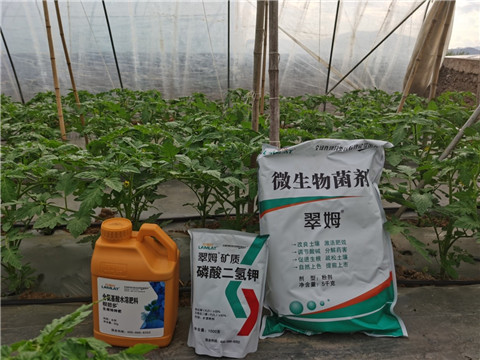 水溶肥，拉姆拉，翠姆