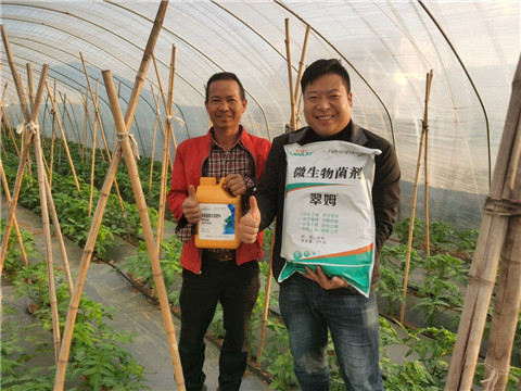 水溶肥，拉姆拉，翠姆