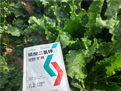 水溶肥，拉姆拉，翠姆