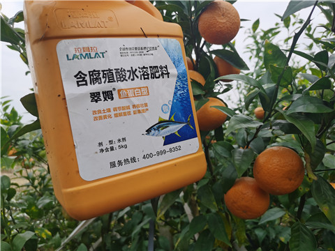 水溶肥，拉姆拉，翠姆