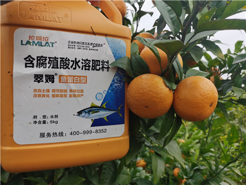 水溶肥，拉姆拉，翠姆