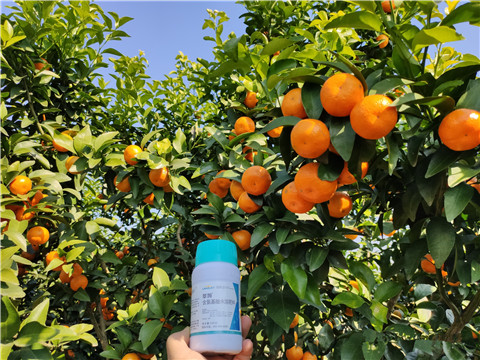 葉面肥，拉姆拉，翠姆