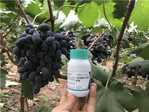 進口水溶肥，拉姆拉，翠姆