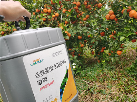 水溶肥，拉姆拉，翠姆