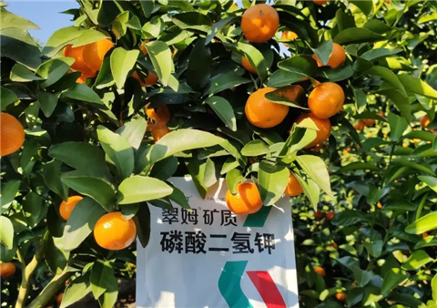 磷酸二氫鉀，拉姆拉，翠姆