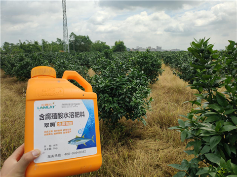 水溶肥，拉姆拉，翠姆