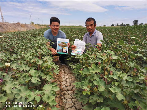 水溶肥，拉姆拉，翠姆