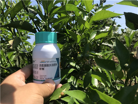 葉面肥，拉姆拉，翠姆