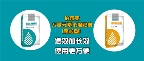 顆粒肥，拉姆拉，翠姆