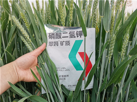 葉面肥，水溶肥，磷酸二氫鉀