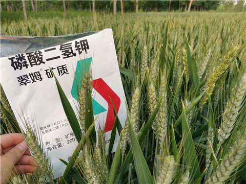 葉面肥，水溶肥，磷酸二氫鉀