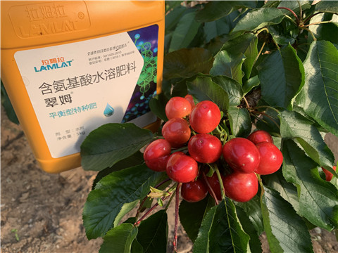 氨基酸水溶肥，拉姆拉，翠姆