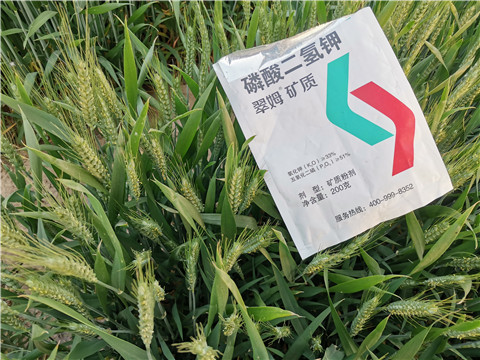 水溶肥，拉姆拉，翠姆