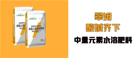 水溶肥，拉姆拉，翠姆