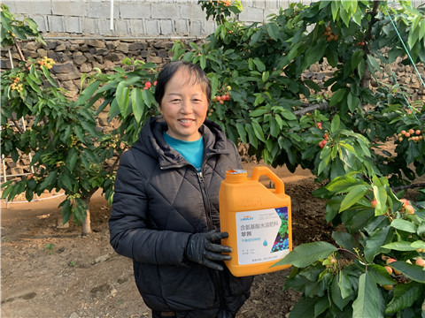 水溶肥，拉姆拉，翠姆