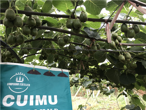 顆粒復(fù)合肥，拉姆拉，翠姆