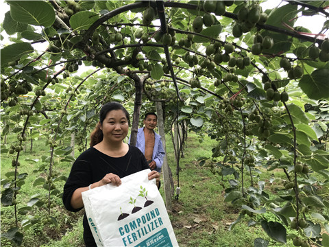 顆粒復(fù)合肥，拉姆拉，翠姆