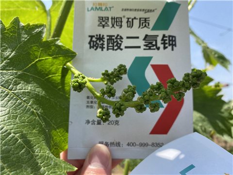 磷酸二氫鉀，拉姆拉，翠姆