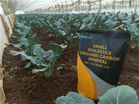 小分子有機(jī)碳，拉姆拉，翠姆