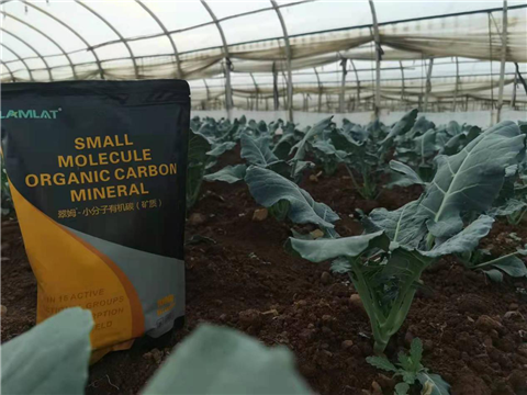 小分子有機(jī)碳，拉姆拉，翠姆