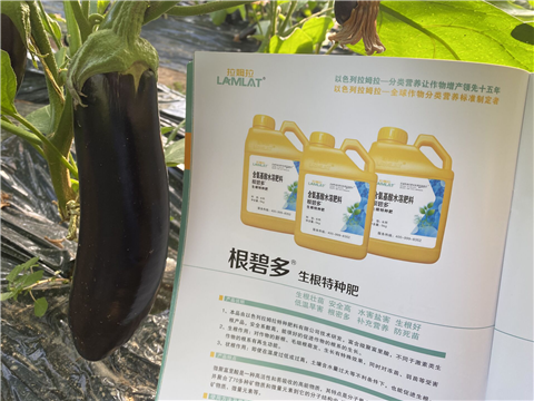 水溶肥，拉姆拉，翠姆