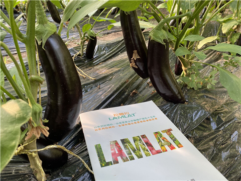 水溶肥，拉姆拉，翠姆