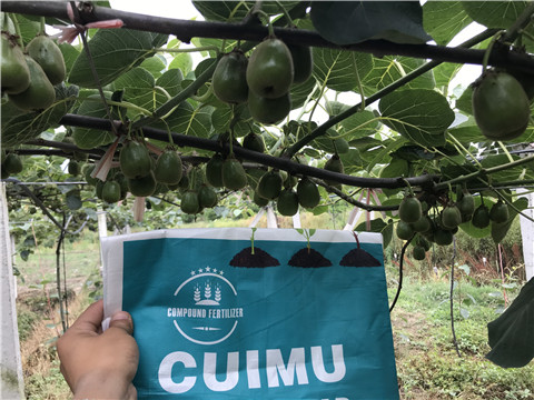 顆粒水溶肥，拉姆拉，翠姆