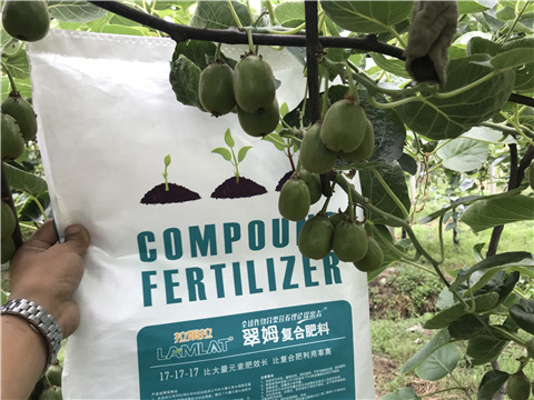 顆粒水溶肥，拉姆拉，翠姆