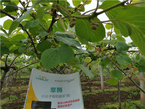 小分子有機(jī)碳，拉姆拉，翠姆