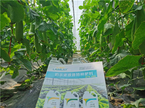 水溶肥，拉姆拉，翠姆