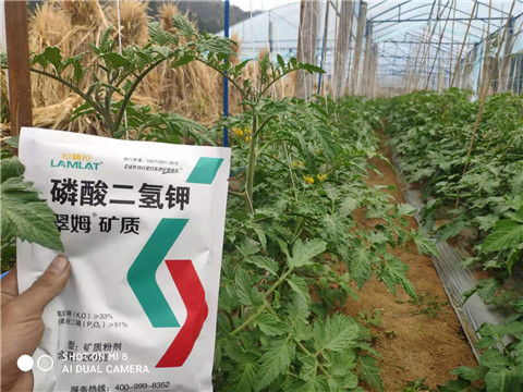 磷酸二氫鉀，拉姆拉，翠姆