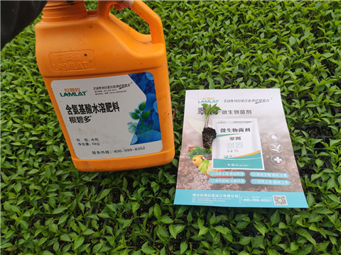 水溶肥，拉姆拉，翠姆