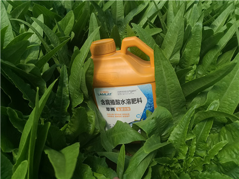 沖施肥，拉姆拉，翠姆