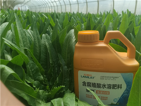 沖施肥，拉姆拉，翠姆