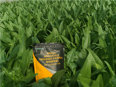 礦源黃腐酸鉀，拉姆拉，翠姆