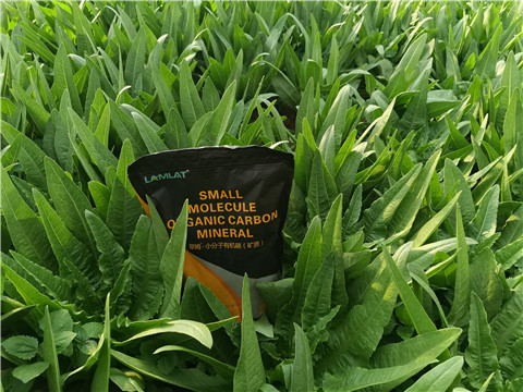 礦源黃腐酸鉀，拉姆拉，翠姆