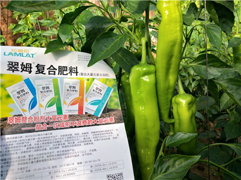 辣椒，拉姆拉，翠姆