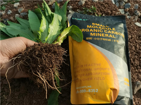 礦源黃腐酸鉀，拉姆拉，翠姆