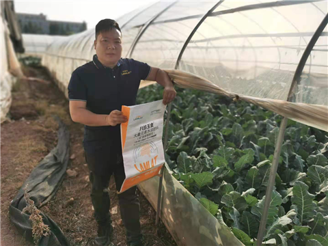 大量元素水溶肥，拉姆拉，翠姆